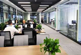 中国台湾耐用性高模特衣架工厂