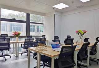 进口吸附剂活性炭