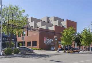 周口蓝莓种植蓝莓苗种植基地