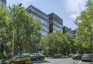 黄浦区别墅区绿植花卉租赁价格