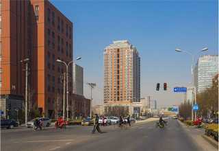 天津卧式软管泵价格